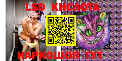 прущие крисы Будённовск