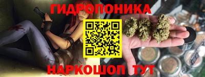 прущие крисы Будённовск
