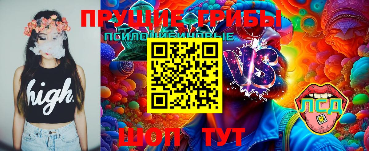 Галлюциногенные грибы MAGIC MUSHROOMS Печора