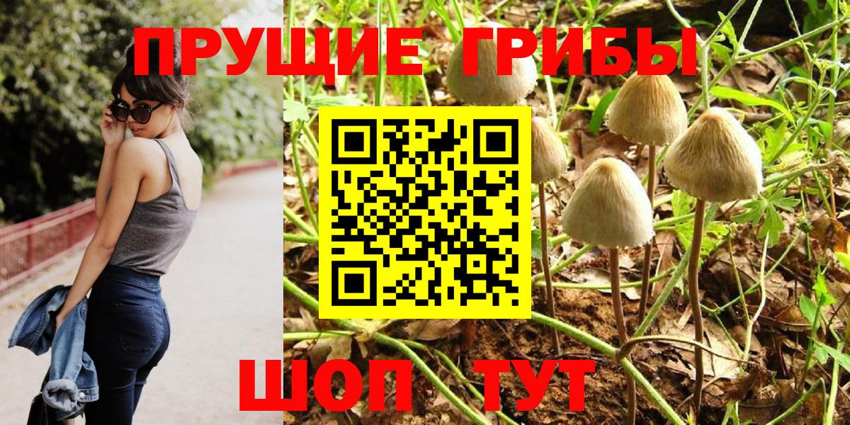 Галлюциногенные грибы Cubensis  Вход с VPN  Печора 